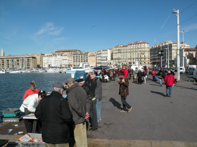  Vente de poisson sur le Vieux Port